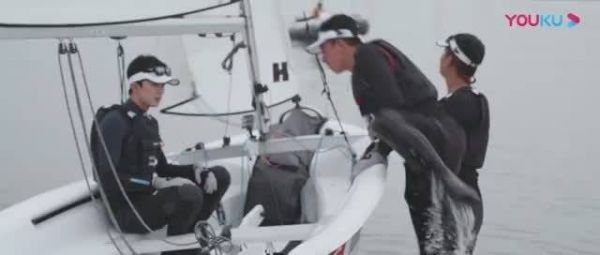 海里有没有鲨鱼？海豚咬不咬人？螃蟹会不会夹断我的手指头？……