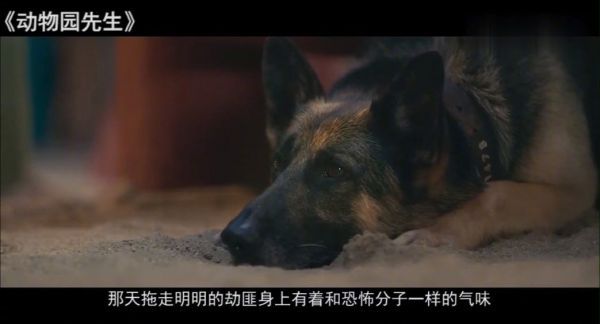 大叔获得超能力，能和动物对话，成了动物园最合适的员工！
