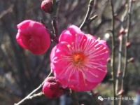 随笔：把欢喜和爱铺满光阴