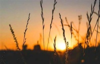 农村俗语“人过40，穷不管2事、富不交2人”，两句话教你看透人性