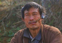 人到中年，还想摆脱贫穷？老祖宗留下一句俗语，说的在理吗？