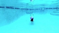 蓝色游泳池的传说美人，水下的美人鱼也太好康了趴