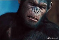 我弱的时候如何欺负我，会让你加倍奉还……