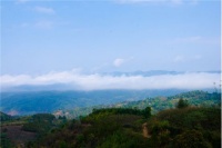 交口称赞的秘诀，康记古树茶用心出产普洱茶饼