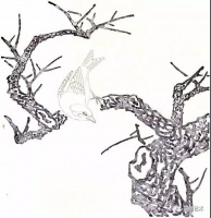 图文教程——工笔白头鹎画法步骤