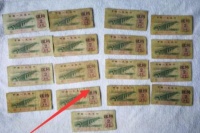 放在箱子角落里的一堆老钱币价值暴涨，你家也有不少吧！