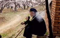 俗语讲：“有福之人两腿毛”，下半句更为精髓，老祖宗的经验之谈