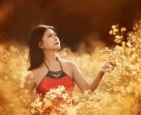 玩易助人不玄虚，良心指路有诀窍