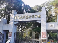 跟随肖战脚步，解锁《奇妙之城》