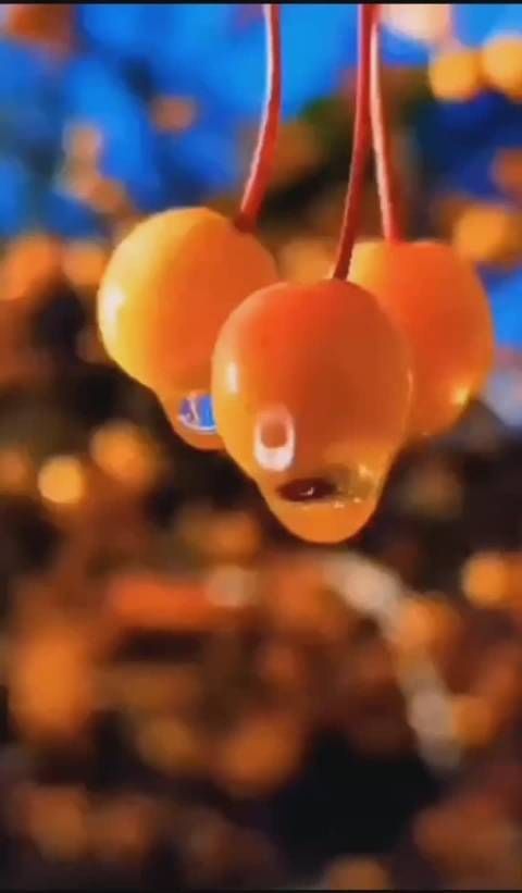 特别的日子给特别的你,你还记得我们曾经的约定吗?
