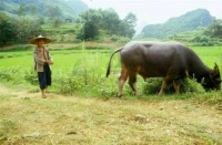 俗语：“人睡三觉，命比纸薄”，连古人都不睡的3种觉，不妨留意