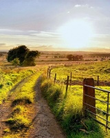 滴水穿石不是靠力,而是因为不舍昼夜