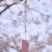 不慌不忙的坚强下去