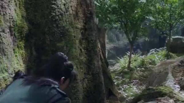 那我们谢允公主抱阿翡必须有姓名 ！