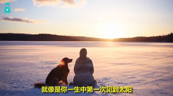生活在北极圈里瑞典的小姐姐,夏天凌晨一点天就亮了……