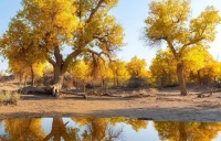 不随便评价他人，是一种修养；而不活在别人的评价里，是一种修行
