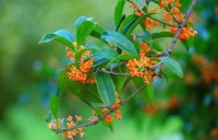 人生没有对错，只有选择后的坚持，走下去，走着走着，花就开了