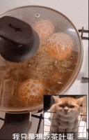 把茶叶蛋煮成了恐龙蛋！