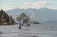 《菜根谭》：做人的最高境界，是苦而不言，喜而不语