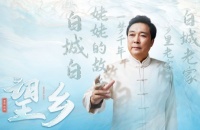 人在他乡望故乡 致心底最温暖柔软的“家乡”——《望乡》