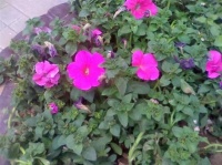 青春以后不属于我--青春无悔@青春以后不属于我--青春无悔