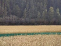 这一晚，我们什么都不谈