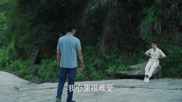 看着满载希望的货车随着麻长顺一起远去……