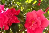 这几个生日尾数的人，生存能力强，能适应各种环境，胜任各种工作