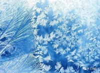 张常美：冰花｜新诗荐读