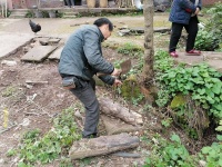 李文全随拍：再给腊月里坝坝席的喜庆，备一些柴火