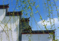 古训：三分醉，七分饱，八分待人刚刚好