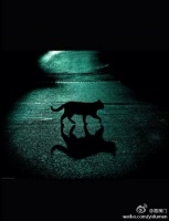 你会为你的每个行为买单