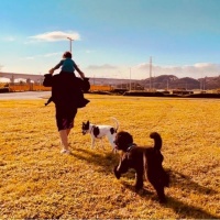 昆凌忙工作周杰伦当妈带子女出外游玩 让子女骑脖子的画面很温馨