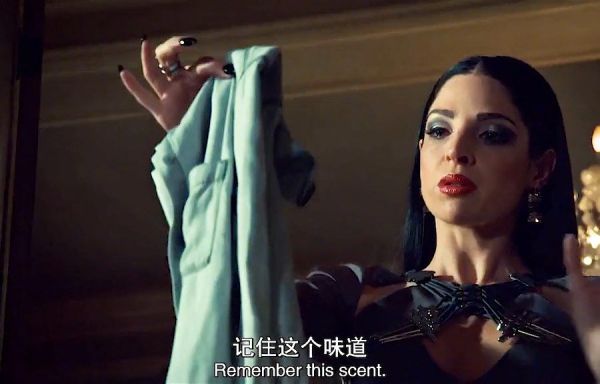 剧好不好不重要，主要是颜值高啊美剧