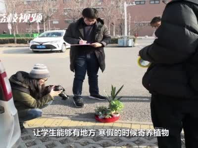 暖心!#高校为学生提供寒假绿植寄养服务#