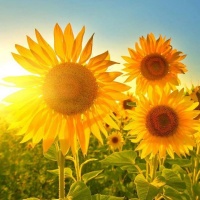 上游•夜雨丨雷学刚：远离负能量的人 做个正能量的人