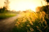 甫跃辉：希望我的文字能够照亮故乡僻远的高山大河，也照亮自己的生命