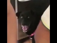 冉高鸣也太会说了，把颜如晶说的一愣一愣的……