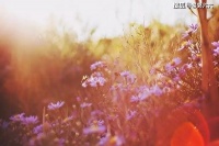 我会遇到你，余生皆是你