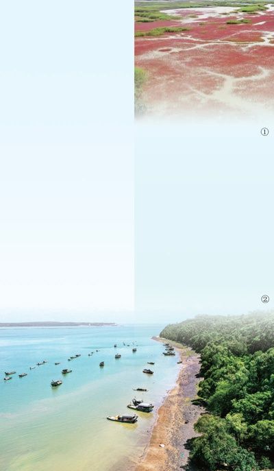 　　图①：盐沼湿地景象。　　自然资源部北海监测中心供图　　图②：广西山口国家级红树林生态自然保护区。　　赵 敏摄（影像中国）
