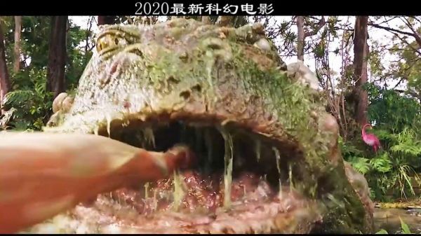 看完我打了打我家的二哈(1)