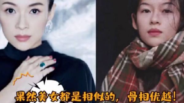 进来前：能有多像?