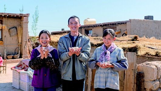 电视剧《山海情》剧照。宁夏卫视供图