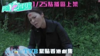 TVB《陀枪师姐2021》 元祖陈三元 VS 新丁戴安娜 电视剧《陀枪师姐2021》