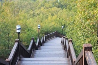 人生三度，一度一层楼