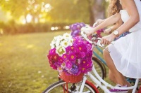 2021，守三个情人到老！