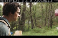 你绝对没看过的巨型生物三