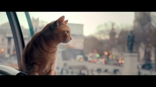 电影《流浪猫鲍勃》片尾曲《Satellite Moments》……