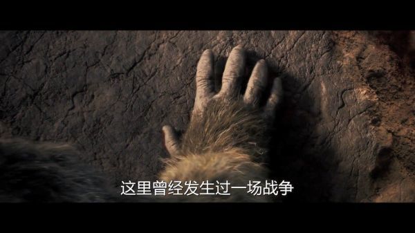 刚定档就推迟?
