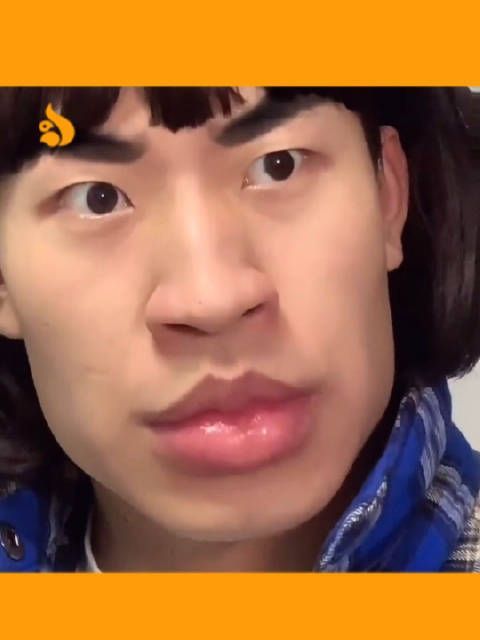 似乎是这样的